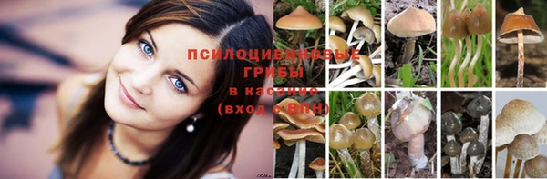 прущая мука Гусь-Хрустальный