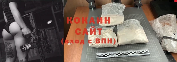 спиды Гусев