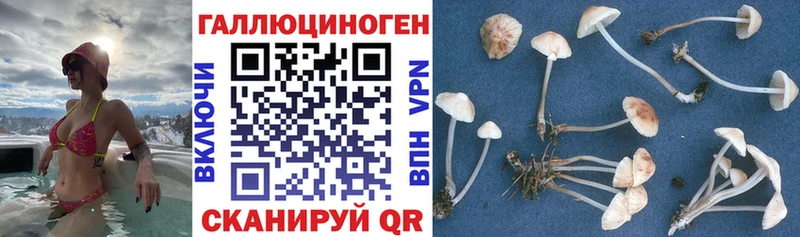 МЕГА   Златоуст  Галлюциногенные грибы Psilocybine cubensis  где купить  
