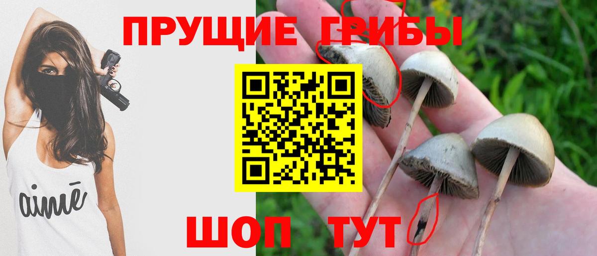 Златоуст  Псилоцибиновые грибы ЛСД  Вход с VPN 